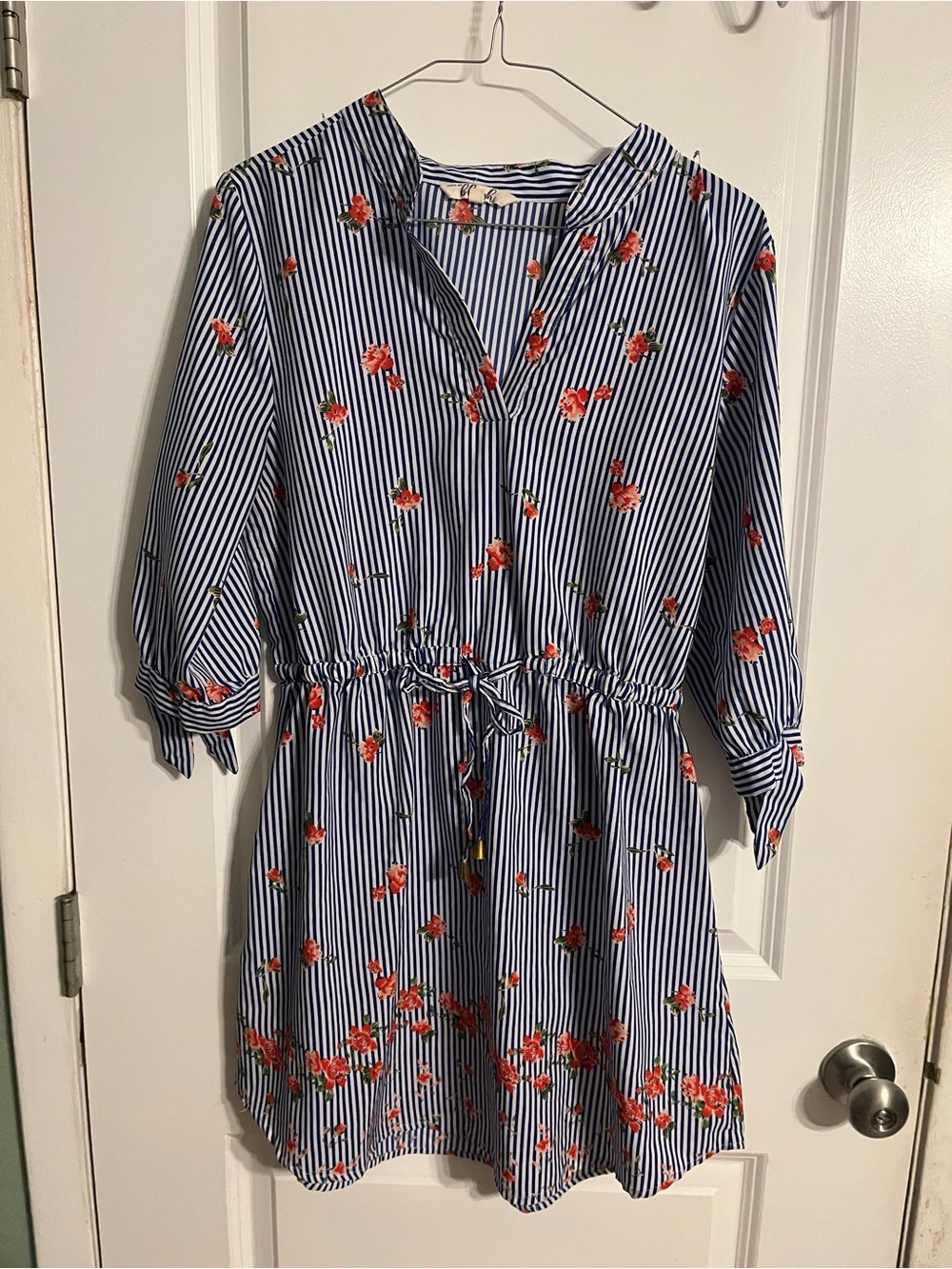 Blush Blue & White Striped Dress with Red Floral Print
